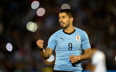 澳队体育独家-伊布担任瑞典队形象大使