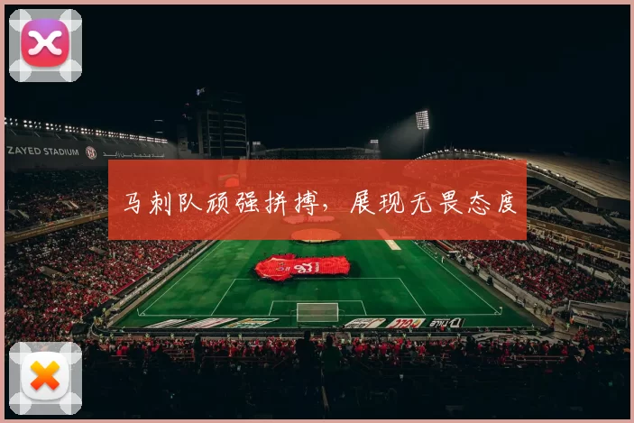 马刺队顽强拼搏，展现无畏态度