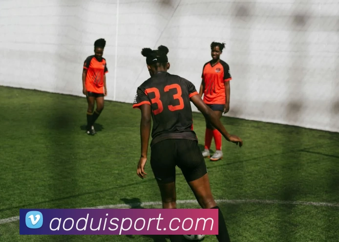 澳队体育资讯平台生态图